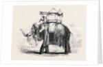 Elephant with State Howdah at Baroda by Anonymous