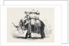 Elephant with State Howdah at Baroda by Anonymous