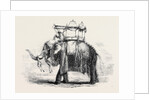 Elephant with State Howdah at Baroda by Anonymous
