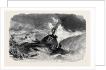 Wreck of the Brig Pilgrim Off Brighton by Anonymous