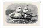 The Screw Steamship Australasian by Anonymous