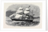 The Screw Steamship Australasian by Anonymous