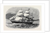 The Screw Steamship Australasian by Anonymous