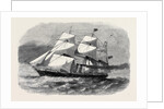 The Screw Steamship Australasian by Anonymous