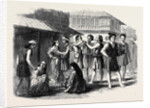 The Meat Market at Manilla. by Anonymous
