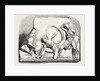The Boudroum Marbles: No. 4. Another Fragment Probably from the Same Frieze by Anonymous