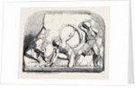 The Boudroum Marbles: No. 4. Another Fragment Probably from the Same Frieze by Anonymous