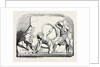 The Boudroum Marbles: No. 4. Another Fragment Probably from the Same Frieze by Anonymous