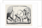 The Boudroum Marbles: No. 4. Another Fragment Probably from the Same Frieze by Anonymous
