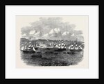 Embarkation of the 13th or Prince Albert's Light Infantry at Port Elizabeth Algoa Bay by Anonymous
