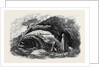 Remains of Carthage: The Cisterns by Anonymous