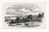 The Camp of Mhow. by Anonymous