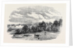 The Camp of Mhow. by Anonymous