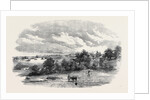 The Camp of Mhow. by Anonymous