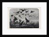 Wild Duck Shooting by Anonymous