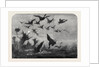 Wild Duck Shooting by Anonymous