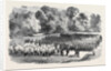 The Oxfordshire Militia in the Garden of St. John's College Oxford by Anonymous