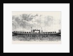 The Royal Barge of the Second King of Siam (Length 87 Feet) by Anonymous
