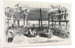 Cock-Fighting at Manilla by Anonymous