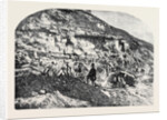 Scene of the Geological Discoveries at Swanage Dorset by Anonymous