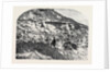 Scene of the Geological Discoveries at Swanage Dorset by Anonymous