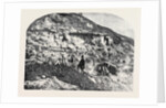 Scene of the Geological Discoveries at Swanage Dorset by Anonymous