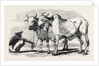 Guzerat Oxen from a Drawing by W. Carpenter Jun. by Anonymous