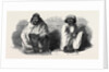 Mushruff Khan and Wahid Ali by Anonymous
