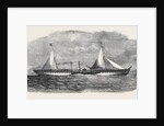Steam Pleasure Yacht for the King of Ava by Anonymous