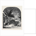 The First Fall of Snow by Anonymous