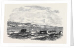 The Bay of Valparaiso by Anonymous
