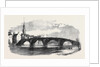 The Twa Brigs of Ayr the Burns Centenary by Anonymous