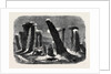 Stonehenge by Moonlight from the New Drama the Borgia Ring at the Adelphi Theatre by Anonymous