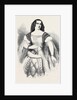 Miss Louisa Pyne by Anonymous