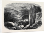 The Maelstrom in the Mammoth Cave Kentucky by Anonymous