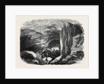 The Maelstrom in the Mammoth Cave Kentucky by Anonymous