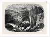 The Maelstrom in the Mammoth Cave Kentucky by Anonymous