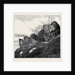 Ruins of Northampton Castle. by Anonymous