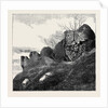 Ruins of Northampton Castle. by Anonymous