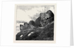 Ruins of Northampton Castle. by Anonymous