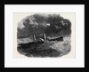The Steam Tug Resolute of Liverpool by Anonymous