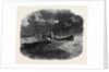 The Steam Tug Resolute of Liverpool by Anonymous