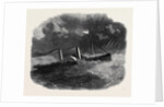 The Steam Tug Resolute of Liverpool by Anonymous