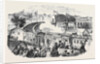 Inauguration of the Albert Viaduct at Saltash by the Prince Consort Opening of the Cornwall Railway by Anonymous