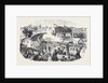 Inauguration of the Albert Viaduct at Saltash by the Prince Consort Opening of the Cornwall Railway by Anonymous