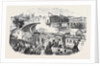 Inauguration of the Albert Viaduct at Saltash by the Prince Consort Opening of the Cornwall Railway by Anonymous