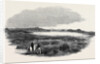 Site of a Proposed Camp at Woolmer Forest by Anonymous