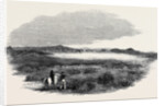 Site of a Proposed Camp at Woolmer Forest by Anonymous