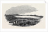 Site of a Proposed Camp at Woolmer Forest by Anonymous