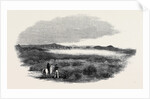 Site of a Proposed Camp at Woolmer Forest by Anonymous